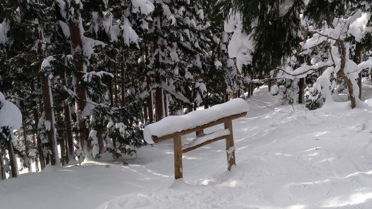 Nozawa Dream Hotell Eksteriør bilde