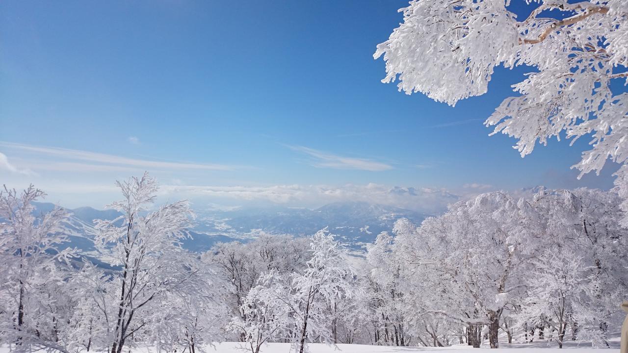 Nozawa Dream Hotell Eksteriør bilde