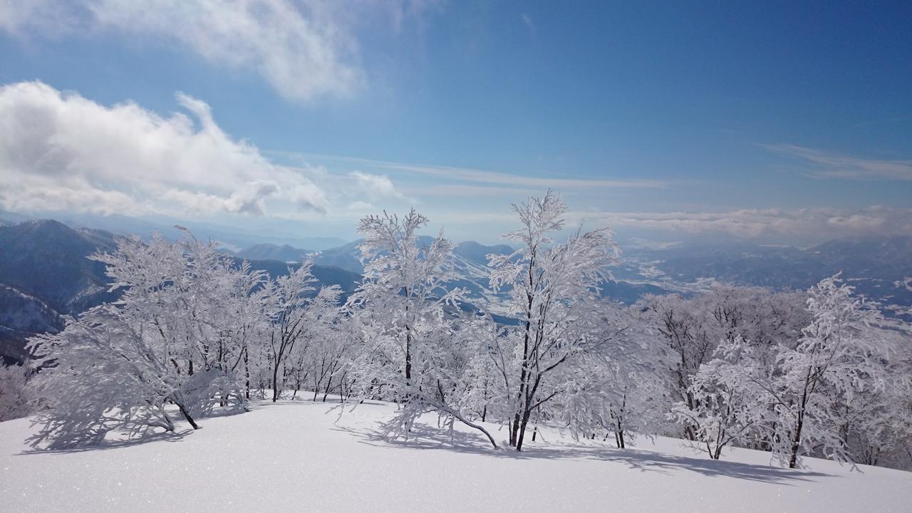 Nozawa Dream Hotell Eksteriør bilde