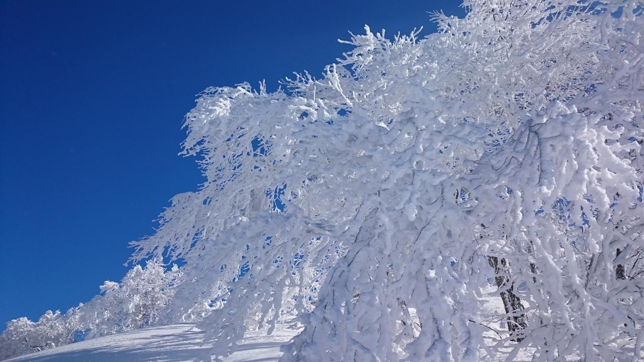 Nozawa Dream Hotell Eksteriør bilde