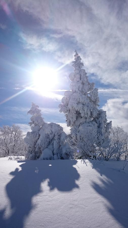 Nozawa Dream Hotell Eksteriør bilde